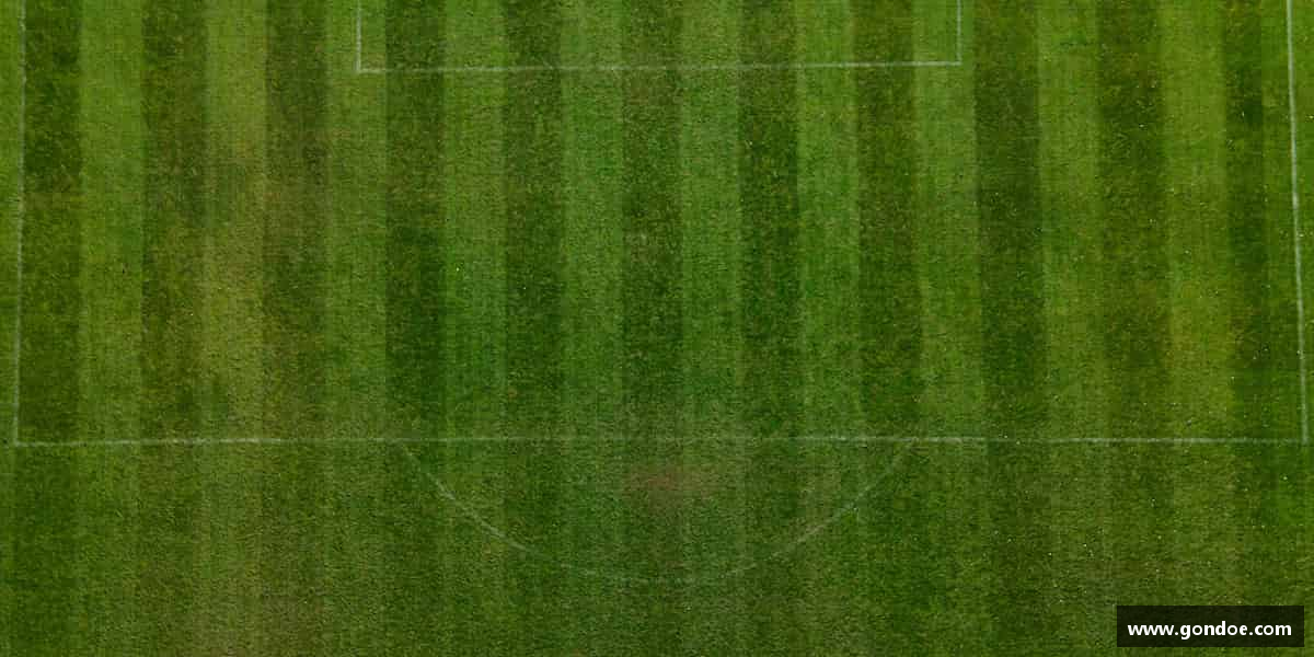 心怀梦想，脚踏实地。